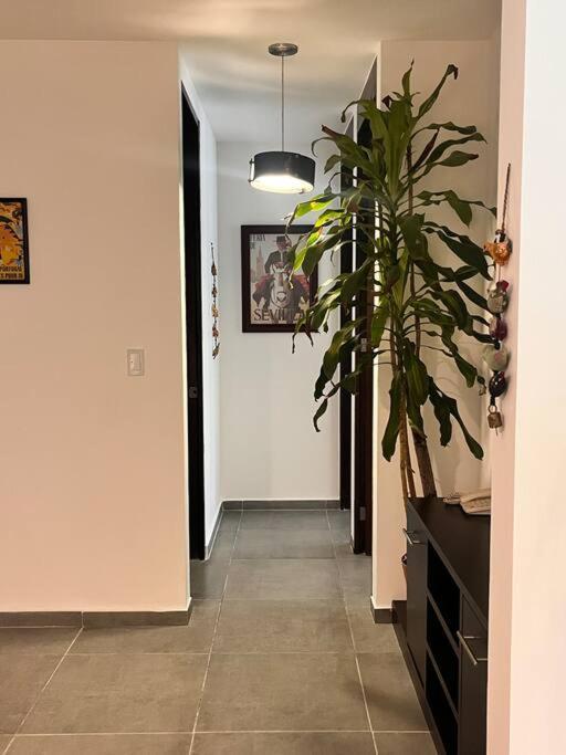 Beautiful And Renewed Apartamento *